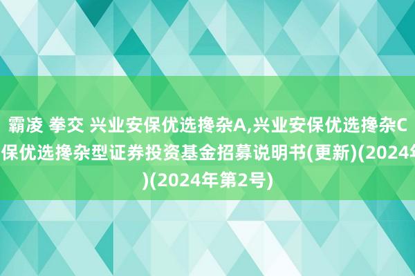 霸凌 拳交 兴业安保优选搀杂A,兴业安保优选搀杂C: 兴业安保优选搀杂型证券投资基金招募说明书(更新)(2024年第2号)
