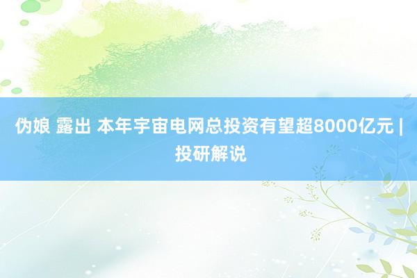 伪娘 露出 本年宇宙电网总投资有望超8000亿元 | 投研解说