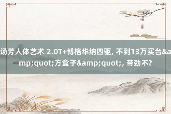 汤芳人体艺术 2.0T+博格华纳四驱， 不到13万买台&quot;方盒子&quot;， 带劲不?