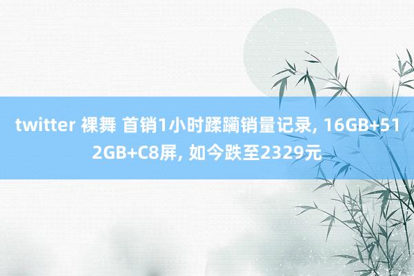 twitter 裸舞 首销1小时蹂躏销量记录， 16GB+512GB+C8屏， 如今跌至2329元
