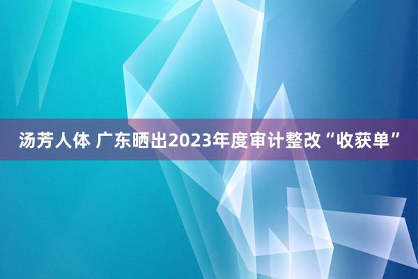 汤芳人体 广东晒出2023年度审计整改“收获单”
