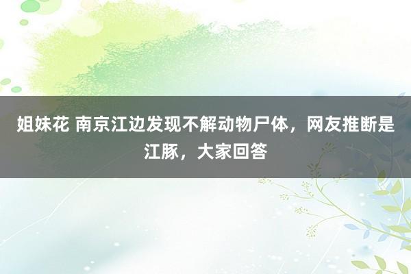 姐妹花 南京江边发现不解动物尸体，网友推断是江豚，大家回答